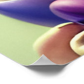 オスタラの女神 ポスター (角)