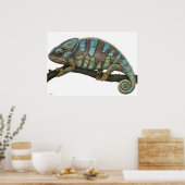 オスターデカメレオン ポスター (キッチン)