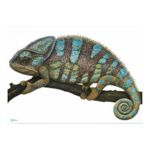 オスターデカメレオン