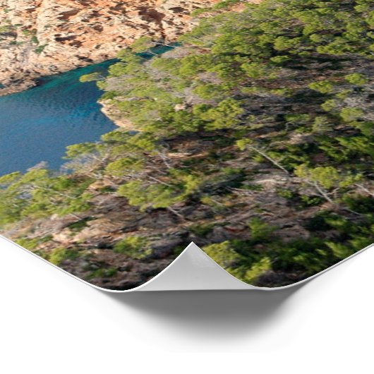 オスターデサフォラダアンライスラデマヨルカ ポスター (角)