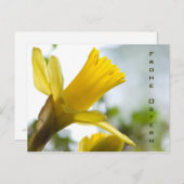 オスターロック・オスター – ポストカート ポストカード (正面/裏面)