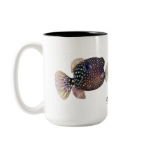 オストラシオンメレヤリス