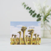 オストリおもしろいッジ ポストカード (スタンド正面)