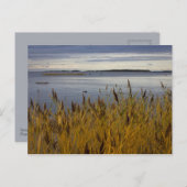 オストロボCC0076ポストカードからのセスカープ ポストカード (正面/裏面)