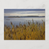 オストロボCC0076ポストカードからのセスカープ ポストカード (正面)