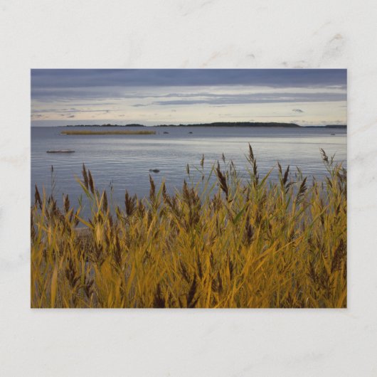 オストロボCC0076ポストカードからのセスカープ ポストカード (正面)