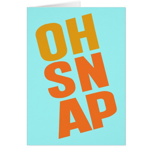 オスナップ (正面)