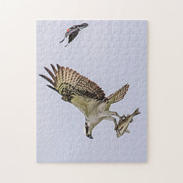 オスプレイが赤い翼を持つブラックバードに追いかけられた ジグソーパズル