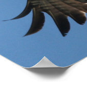 オスプレイのバードスピリット・オブ・ロード・プリント ポスター (角)