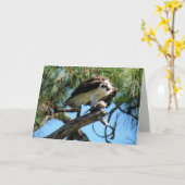 オスプレイのランチグリーティングカード カード (黄色い花)