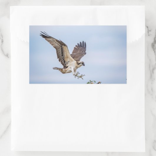 オスプレイの巣への着陸 長方形シール (バッグ)