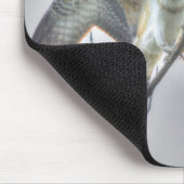 オスプレイの稚魚とワシの野生生物の写真シーン マウスパッド (コーナー)