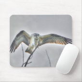 オスプレイの稚魚とワシの野生生物の写真シーン マウスパッド (マウス)