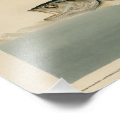 オスプレイの魚のタカ フォトプリント            (角)