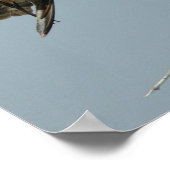 オスプレイの鷹の木のポスター ポスター (角)