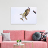 オスプレイは赤い翼を持つ黒鳥に追いかけられる キャンバスプリント (インサイチュ (リビング))