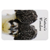 オスプレイアイフレキシマグネット マグネット (横)