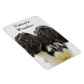 オスプレイアイフレキシマグネット マグネット (右側)