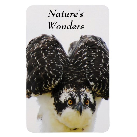 オスプレイアイフレキシマグネット マグネット (縦)