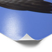 オスプレイ写真 フォトプリント            (角)