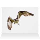 オスプレイ来が君に向かって (内部横(上))