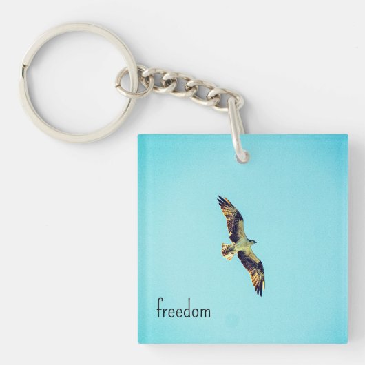 オスプレイ芸術 キーホルダー (正面)