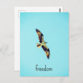 オスプレイ芸術 ポストカード (正面/裏面)