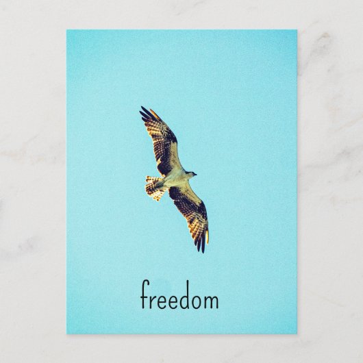 オスプレイ芸術 ポストカード (正面)