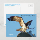 オスプレイ運の棒はがき ポストカード (正面/裏面)