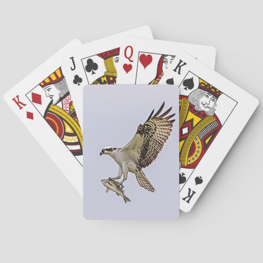 オスプレイ運は魚だ トランプ (裏面)