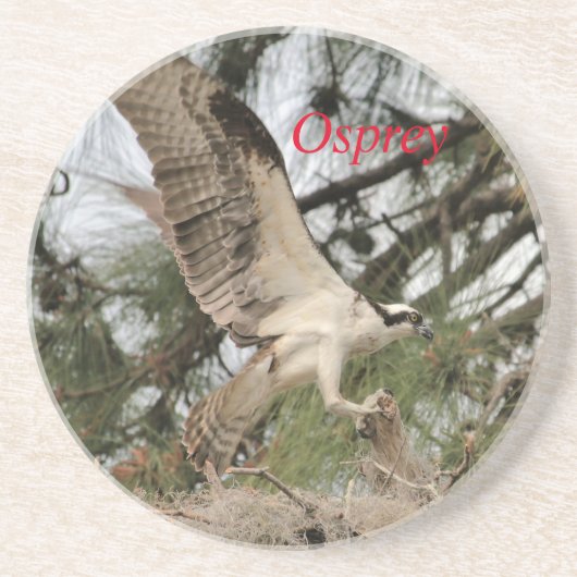 オスプレイ野生生物集団 コースター (正面)