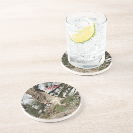 オスプレイ野生生物集団 コースター (側面)