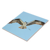 オスプレイ飛んでいるホーク タイル (側面)