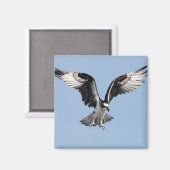 オスプレイ飛んでいるー マグネット (正面/裏面)