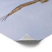 オスプレイ飛んでいる鳥ポスター ポスター (角)