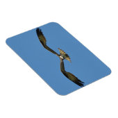 オスプレイ飛んでいる! マグネット (右側)