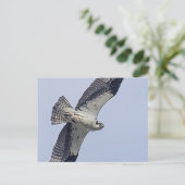 オスプレイ飛行中 ポストカード (スタンド正面)