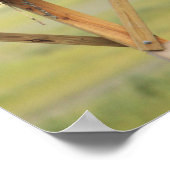 オスプレイ鳥の巣ポスター ポスター (角)