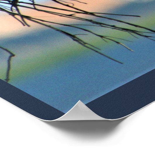 オスプレイ鳥の巣 ポスター (角)