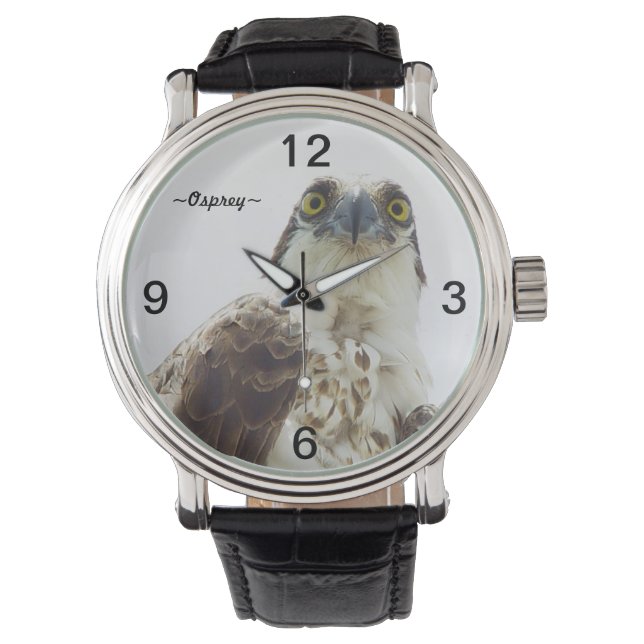オスプレイ鳥の目ポートレート時計 腕時計 (正面)
