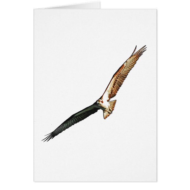 オスプレイ (正面)