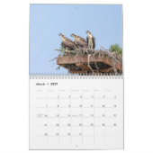 オスプレイ2026 カレンダー (3月 2027)