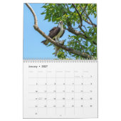 オスプレイ2026 カレンダー (1月 2027)