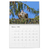 オスプレイ2026 カレンダー (2月 2026)