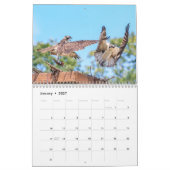 オスプレイ2026 カレンダー (1月 2027)