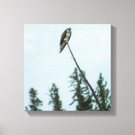 オスプレイ9028 キャンバスプリント (正面)