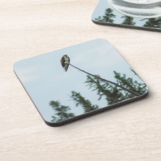 オスプレイ9028 コースター (左側)