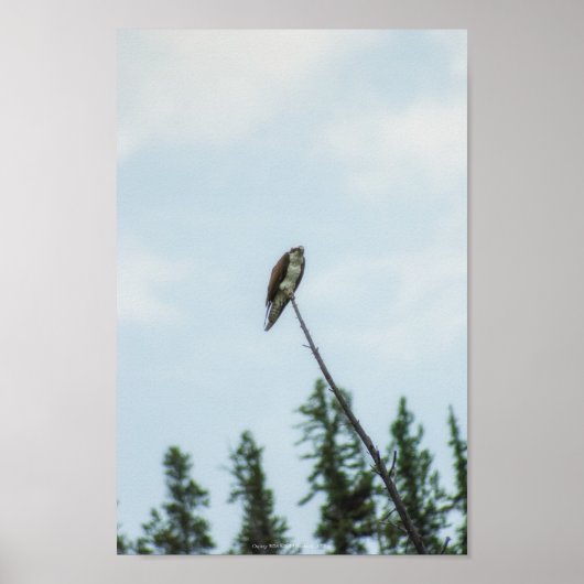 オスプレイ9028 ポスター (正面)