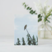 オスプレイ9028 ポストカード (スタンド正面)