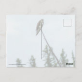 オスプレイ9028 ポストカード (裏面)